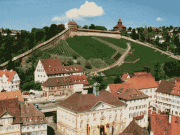 Blick auf Burg, Burg-Weinberg und Neues Rathaus
